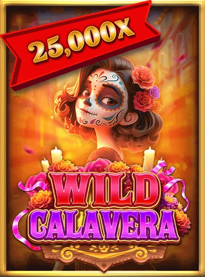 07win